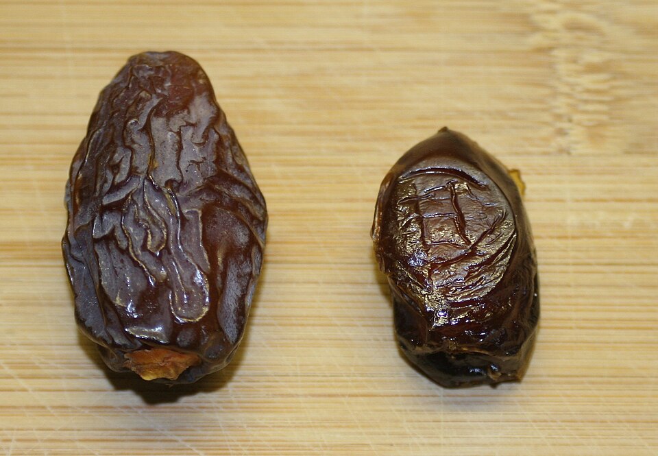حبّتا تمر جافّتان